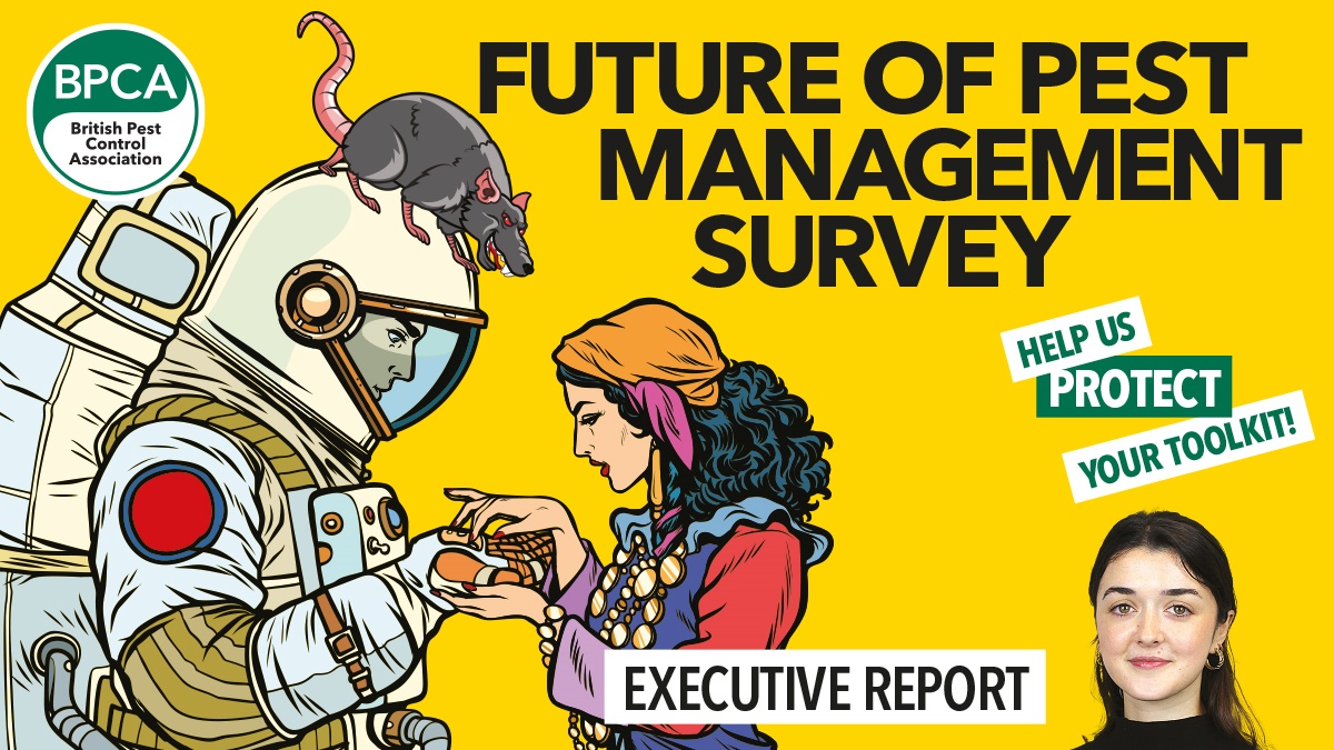 survey hero2 survey hero2